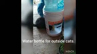 Water Bottle For Outside Cats