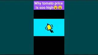 why tomato's price is increase day by day #interestingfacts #trending #amazingfacts #new #popular