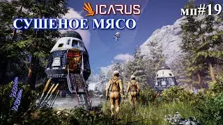 Сушим и вялим / КООП ICARUS First Cohort / мп. 19