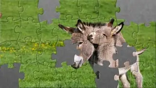Donkey with Colt puzzle #donkey #burro #animalspuzzle