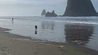 Haystack Rock, Cannon Beach, OR. Pictures can't do it justice. 235 feet tall.