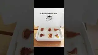 The Candle Grove Luxury botanical wax melts