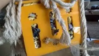 Parrot Care 101 - Foraging 3 Starring Puppy & Einstein