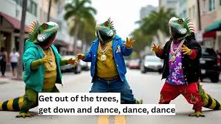 Iguana Dance: A Winter Survival Guide for Cold-Blooded Creatures