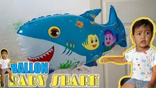 REVAN dan BABY SHARK BALLON 🎈🦈 Revan bermain balon karakter baby shark biru lucu