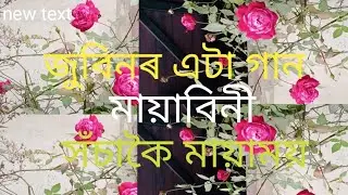 মজা লাগিল#মায়াবিনি new #Assamese new Zubeen story #Zubeen flowers #Zubin new #Bubul Saikia blog