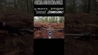 MTB💥Повороты среди засохших папоротников #mtb #mtblife #mtblove #downhill #trail #bikepark #surre...