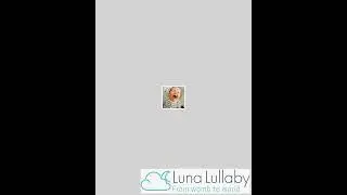Luna Lullaby V-Shaped Nursing Pillow Cover - Grey Dot | Machine Washable | Luna Lullaby