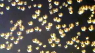 Biervana bubbles
