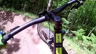 Down Dogger Marquette MI