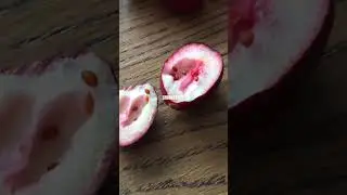 Cranberry Seeds
