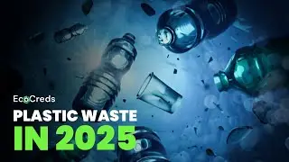 Plastic Waste in 2025