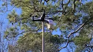 Backyard Weather Station