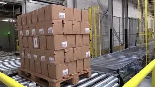 Pallet Labelling System with Bluhmware Software - L'Or&eacute;al