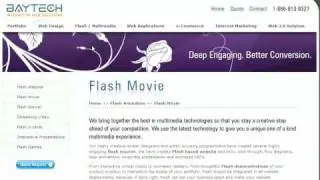 Baytech - Baytech Webs - Baytech Web Design - Web Development Firm in San Jose
