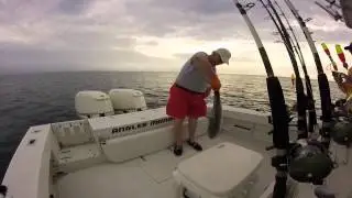 Inshore Offshore Combo Charter on Angler Management palm beach