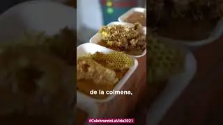 Velas que adornan ofrendas e iluminan el camino de nuestros seres queridos que ya no est&aacute;n.