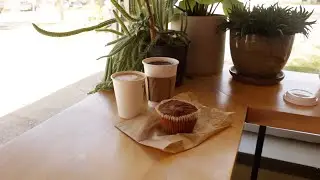 AMAZING coffee in Louisville, KY - Sunergos Coffee - impromptu latte art competition