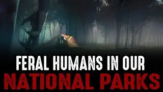 Дикие люди в наших национальных парках???