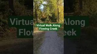 VIRTUAL WALK (Treadmill Scenery)