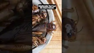 Unbelievable Thai Food : Stir fried Crickets!