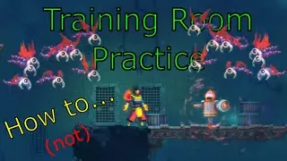 Dead Cells Has A Training Room