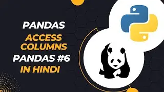 How Access Columns In Pandas | How To Access Multiple Columns In Pandas | Pandas 6 | DevSetGo