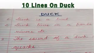 10 Lines On Duck In English/Short Essay On Duck For Kids