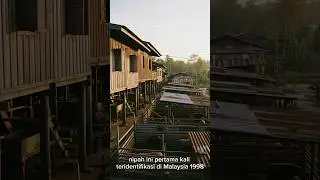 Waspada! Virus Nipah Mematikan Ini Bisa Muncul Kapan Saja! #faktaunik