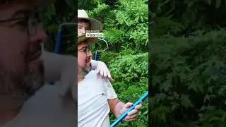 forest ma mr beast-snake racqu 🤐😯