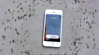 Incredible Video: Electromagnetic Waves