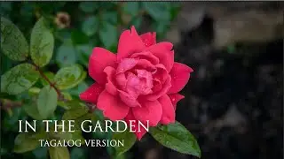 In the Garden (Tagalog Version) / piano instrumental hymn with lyrics