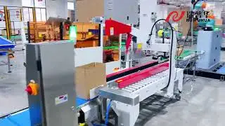 Automatic carton packing spider robotic arm palletizing robot