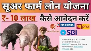 सुअर पालन लोन 2025:सूअर फार्म लोन योजना |suar palan par loan kaise milta hai