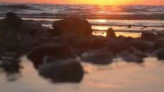 Red sea sunset, tracking shot | Free stock footage