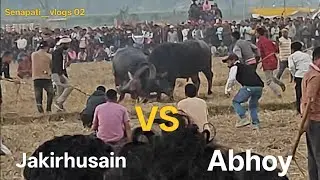 Jakirhusain VS Abhoy 🐃 . Abhoy win 🏆 #tranding #baffalo #assam #animals #buffalofight #fyp #fypシ 