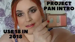 Use up 18 in 2018 - Project Pan Intro
