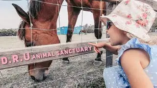Inside The World's Most Unusual Animal Rescue