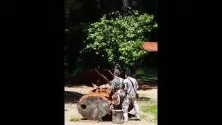 Roaring Camp Reinactors 2016