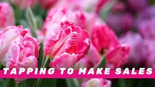 Tapping script to make sales today | EFT for when you're not making consistent sales