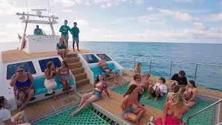 Ocean Joy Cruises, Hawaii Oahu, HI - Whale Dolphin Turtle Watching and Snorkeling Cruises