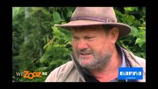 Arroser le gazon - Vid&eacute;o jardinage | GAMMA Belgique