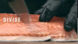 The woods Salmon