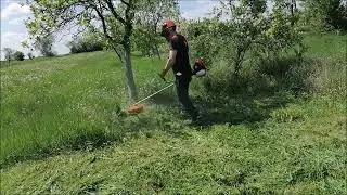 RURIS DAC 310 (2.5 Hp) IN IARBĂ MARE. FIR 2.4 MM PĂTRAT.