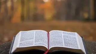 L&oacute; recebe em sua casa os dois anjos (G&ecirc;nesis 19.1-22)📜📜📜