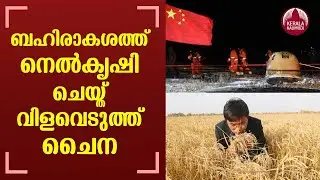 China harvests first batch of rice that travelled around the moon