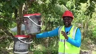Coconut Trapping using a Bucket- With Troy Augustine