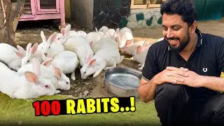 Zoo par 100 Rabbits.😍🎉 #pets