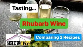 Tasting & Comparing 2 Rhubarb Wine Recipes