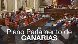 Pleno en el Parlamento de Canarias